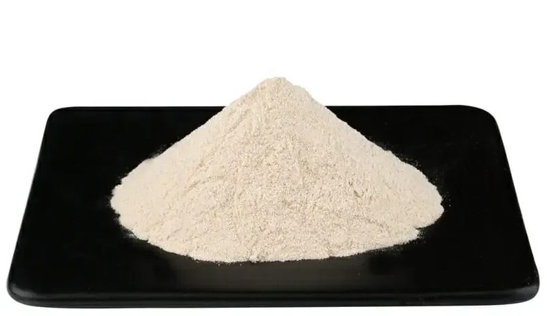 Xylanase