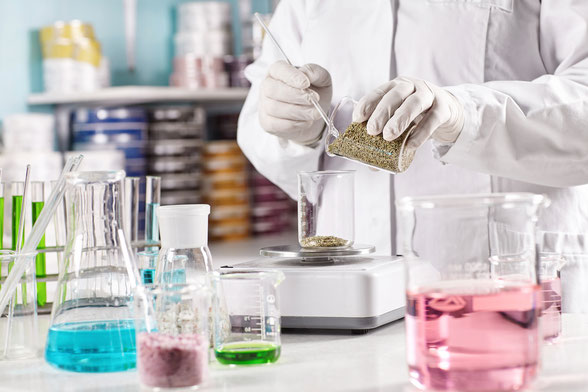 Formulation development